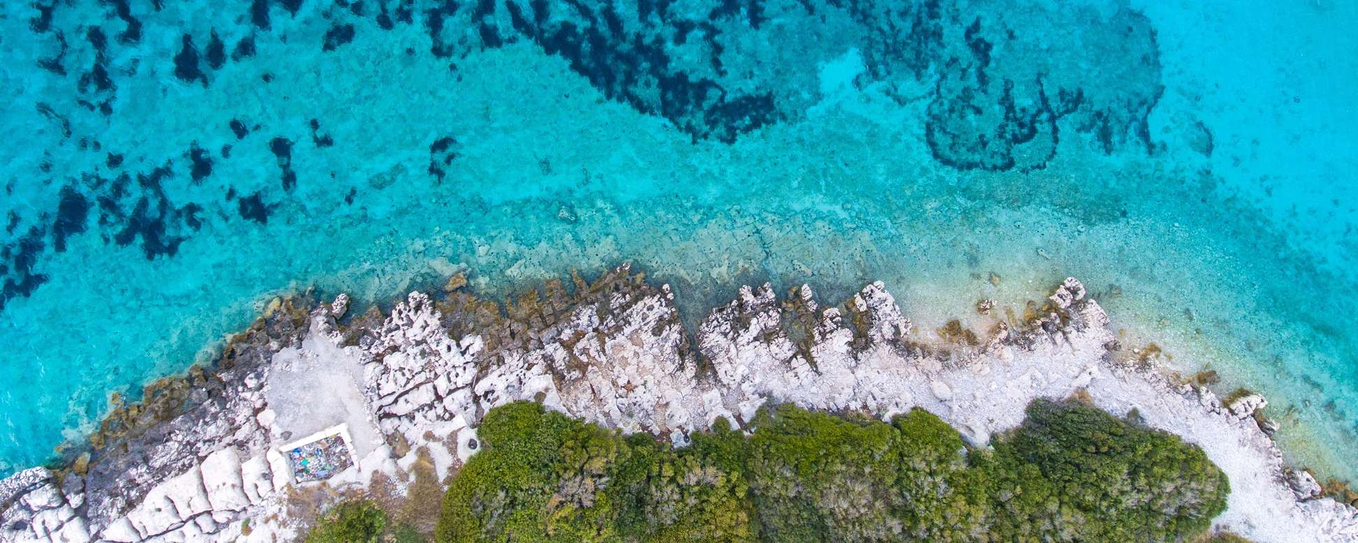 Starfish Boat Charter